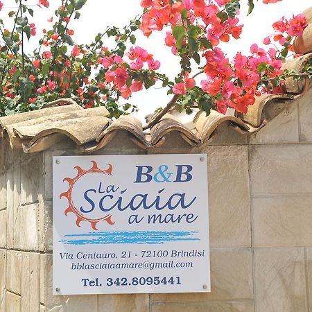 B&B La Sciaia A Mare 布林迪西 外观 照片